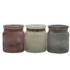 Enchanted Garden™ 5oz Frosted Citronella Candle - Assorted Colors