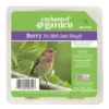 Enchanted Garden™ Berry No-Melt Bird Suet Dough - 11.25 Oz