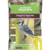 Enchanted Garden™ Songbird Supreme Wild Bird Food Seed - 20 Lb -The Thrive Yard Sales 2661353 P SF render