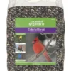 Enchanted Garden™ Colorful Blend Wild Bird Food Seed - 8 Lb