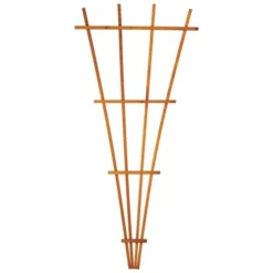 Enchanted Garden™ 32"W X 72"H Cedar Fan Trellis