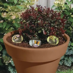 Enchanted Garden™ Butterfly Garden Stone - Assorted Styles -The Thrive Yard Sales 2774129Lifestyle