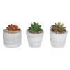 Enchanted Garden™ 4" Artificial Succulent With Cement Pot - Assorted Styles