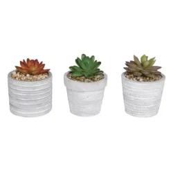 Enchanted Garden™ 4" Artificial Succulent With Cement Pot - Assorted Styles