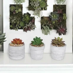 Enchanted Garden™ 4" Artificial Succulent With Cement Pot - Assorted Styles -The Thrive Yard Sales 2774605 KGD212ABB LS 1800px