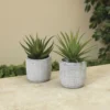 Enchanted Garden™ 6" Artificial Succulent With Cement Pot - Assorted Styles