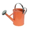 Enchanted Garden™ 1 Gallon Metal Watering Can In Coral -The Thrive Yard Sales 2775036