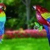 Enchanted Garden™ 17.3" Parrot Outdoor Wall Art - Assorted Styles