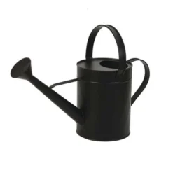 Enchanted Garden™ Steel Watering Can - Assorted Colors