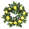 Enchanted Garden™ 22" Meyer Lemon Wreath Outdoor Wall Art -The Thrive Yard Sales 2775421 main