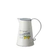 Enchanted Garden™ 8.4" Metal Pitcher -The Thrive Yard Sales 2775425