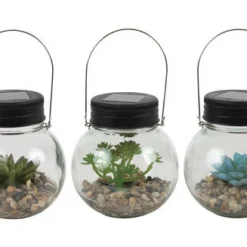 Enchanted Garden™ Artificial Succulent Solar LED Glass Jar - Assorted Styles