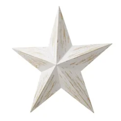 Enchanted Garden™ 17.5" Wood Star Outdoor Wall Art - Assorted Colors -The Thrive Yard Sales 2775453B rightview