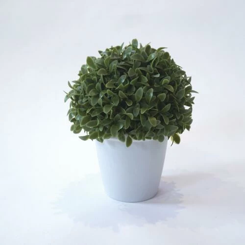 Enchanted Garden™ 10" Artificial Green Plant With Pot - Assorted Styles 4 Enchanted Garden™ 10" Artificial Green Plant With Pot - Assorted Styles - Image 2