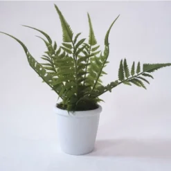 Enchanted Garden™ 10" Artificial Green Plant With Pot - Assorted Styles 9 Enchanted Garden™ 10" Artificial Green Plant With Pot - Assorted Styles -The Thrive Yard Sales 2775474 2