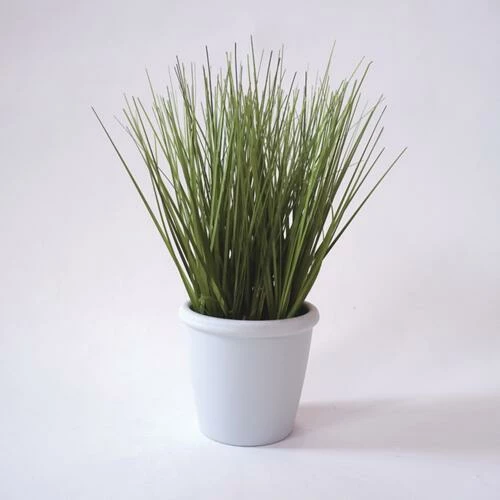 Enchanted Garden™ 10" Artificial Green Plant With Pot - Assorted Styles 6 Enchanted Garden™ 10" Artificial Green Plant With Pot - Assorted Styles - Image 4