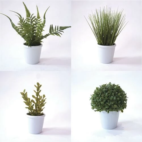 Enchanted Garden™ 10" Artificial Green Plant With Pot - Assorted Styles 3 Enchanted Garden™ 10" Artificial Green Plant With Pot - Assorted Styles