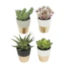 Enchanted Garden™ 6" Artificial Potted Succulent -The Thrive Yard Sales 2775475
