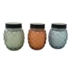 Enchanted Garden™ 9 Oz. Glass Pineapple Jar Citronella Candle - Assorted Colors -The Thrive Yard Sales 2775550 2021 CMYK
