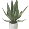 Enchanted Garden™ 12.5" Artificial Greenery Plant With White Pot