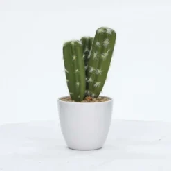 Enchanted Garden™ 8.5" Artificial Potted Cactus